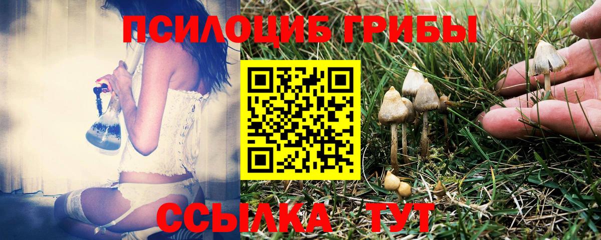 Галлюциногенные грибы ЛСД  Галлюциногенные грибы MAGIC MUSHROOMS  Орехово-Зуево  Вход с VPN 